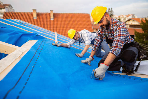 Emergency Roof Repair in Craig, AK